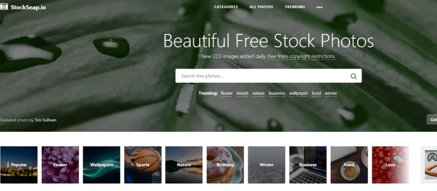 StockSnap