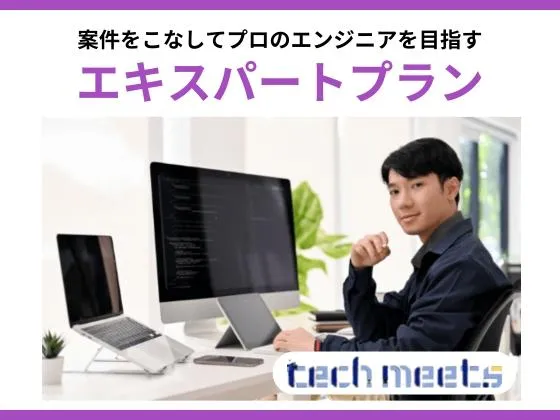 【オンライン】エキスパートプラン：techmeets（テックミーツ）