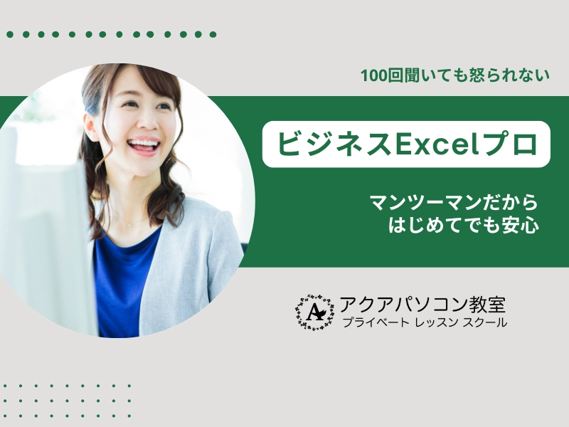 ビジネスExcelプロ